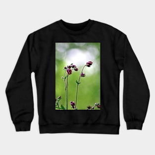 Early Spring Crewneck Sweatshirt